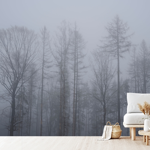 Décorez votre intérieur : imprimez vos photos sur tapisserie déco ou optez pour notre modèle "Forêt brumeuse en hiver froid"! Sur mesure, fabriqué en France