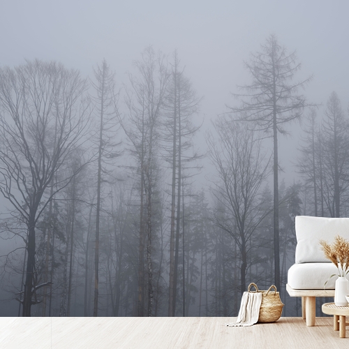 Papier peint personnalisable Forêt brumeuse en hiver froid