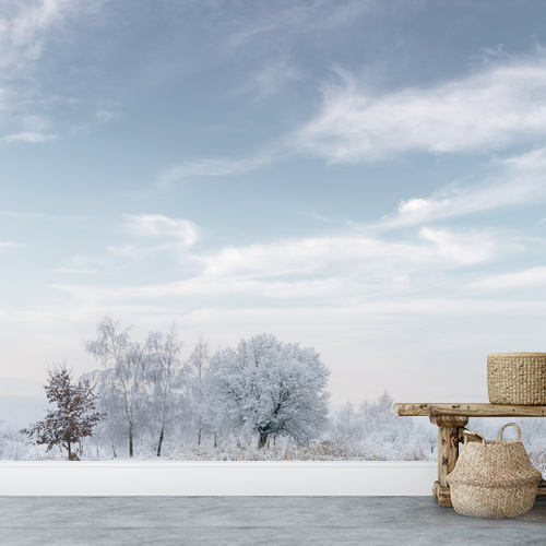 Papier peint personnalisable Lac d'hiver et eau glacé