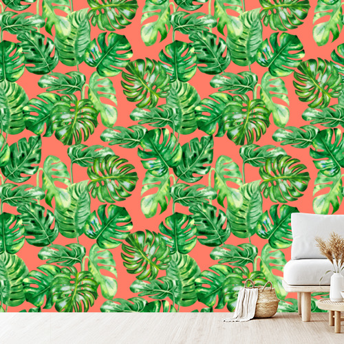 Papier peint personnalisable Monstera adansonii