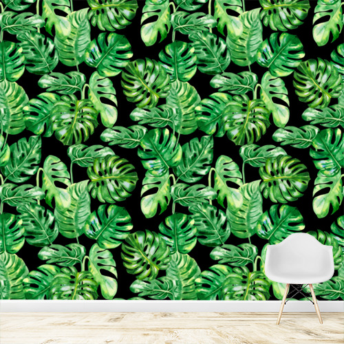 Papier peint personnalisable Monstera standleyana