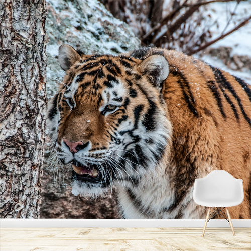 Papier peint personnalisable Tigre de Sibérie