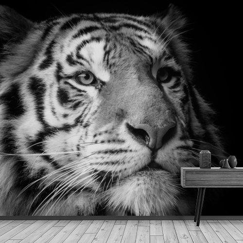 Papier peint personnalisable Tigre obscur