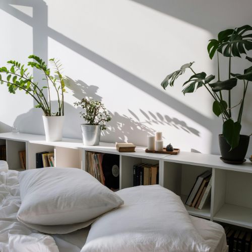 chambre zen avec plantes