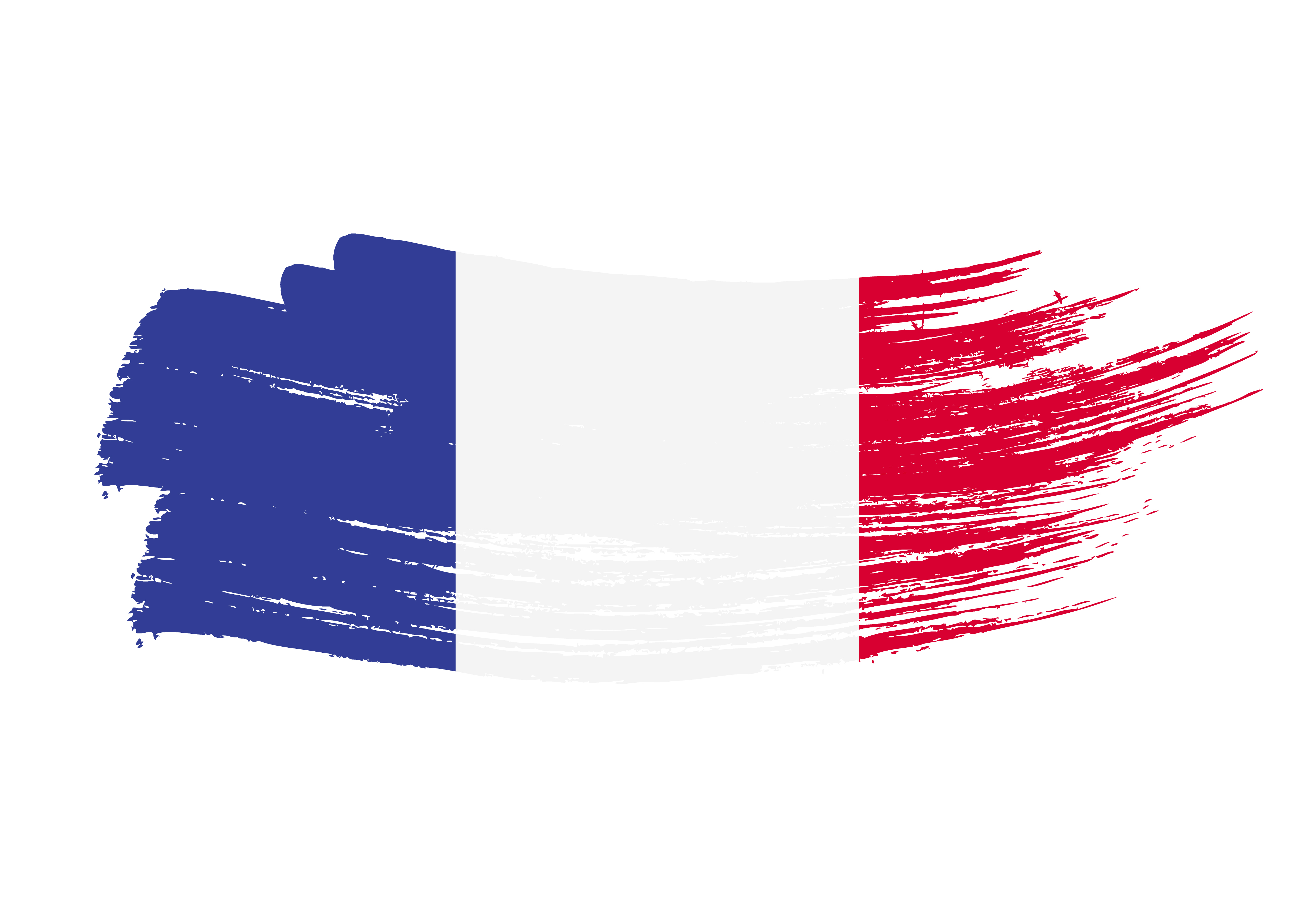 france drapeau euro 2024