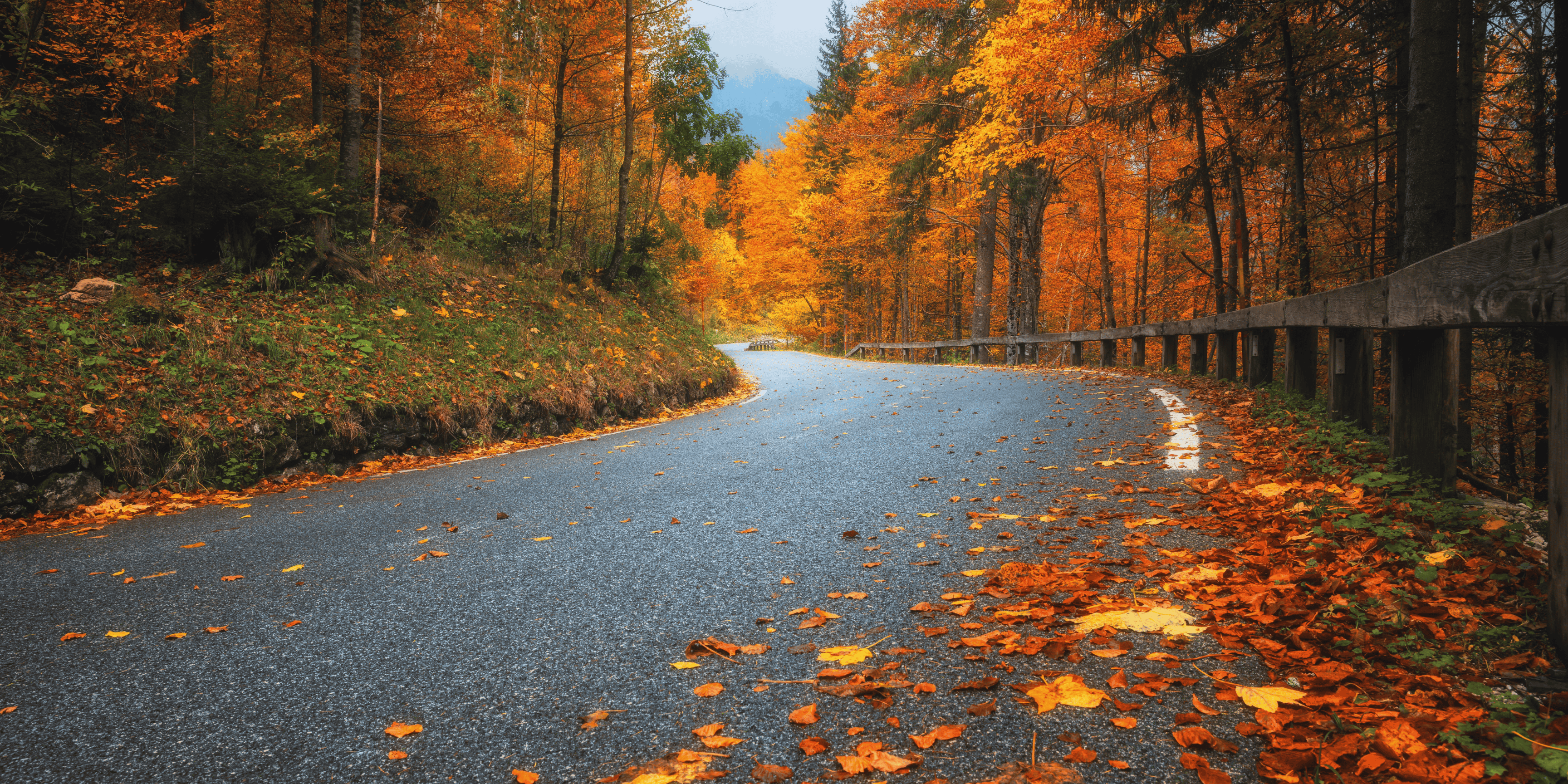 Les papiers peints pour l’automne : Apportez une touche chaleureuse à votre intérieur