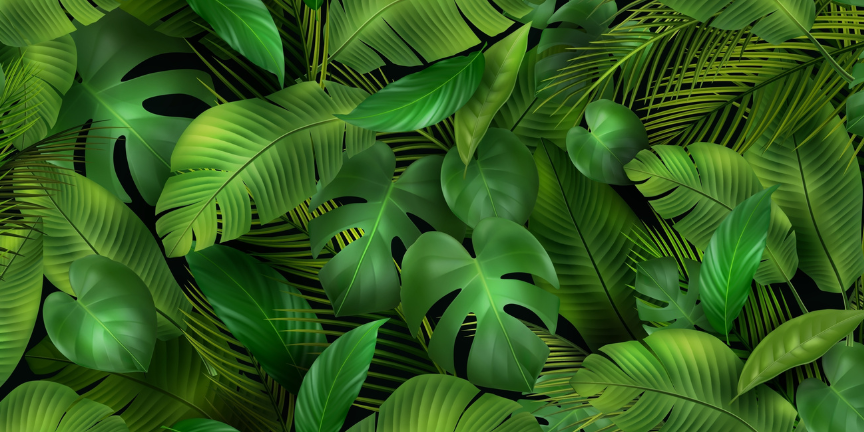 Les meilleures couleurs de peinture à associer avec un papier peint jungle